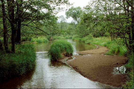 We spreken veel meer de zelfde watertaal 3.