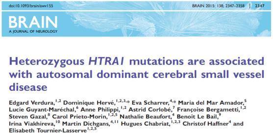 HTRA1 gen (CADASIL type 2) Recessief: CARASIL (zeldzaam, young onset) Dominant: