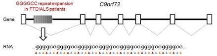 FTD: C9orf72 repeat expansion Renton et al. DeJesus-Hernandez et al.