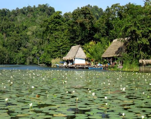 negerslaven, nl. de Garifuna s. Er heerst een echt Caribisch sfeertje : palmbomen, reggae-muziek, verrukkelijke vis en zeevruchten, bananen en felgekleurde houten huisjes. De Rio Dulce is fantastisch.