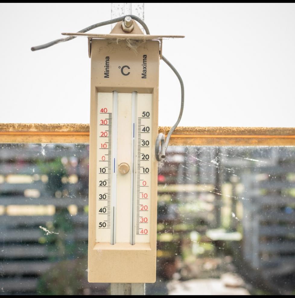 21 Te warm? Vermijd temperaturen boven 35 C. Bloesems verbranden.