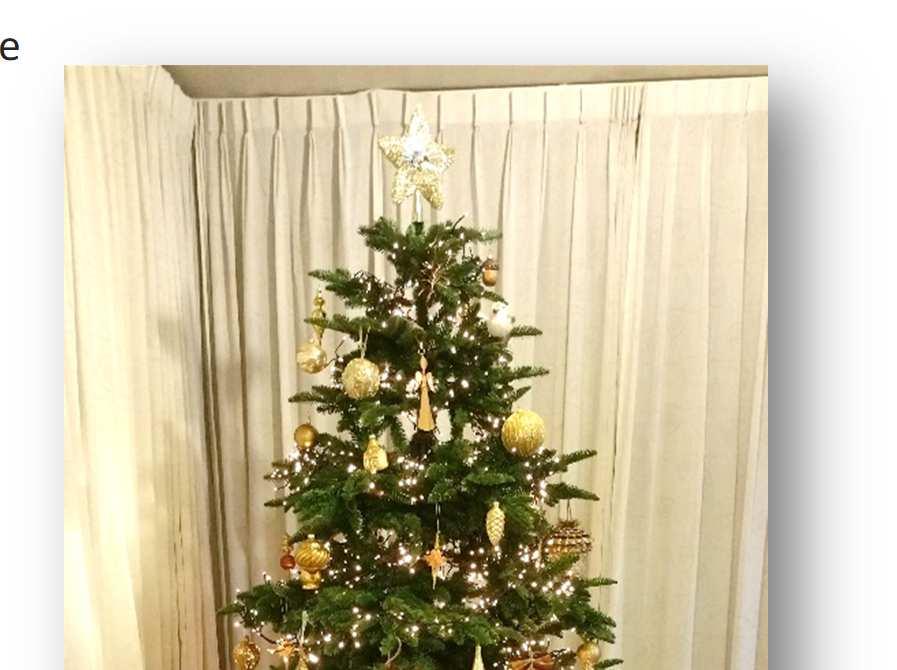 geld voor de aanschaf van een nieuwe (kunst)kerstboom, omdat de oude kerstboom niet meer in elkaar wilde en er triest uit zag.