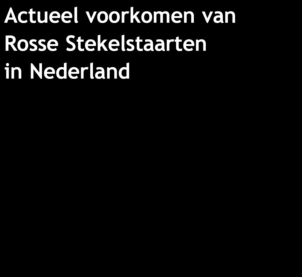 nl Sovon-rapport 2014/36 Postbus 6521 6503