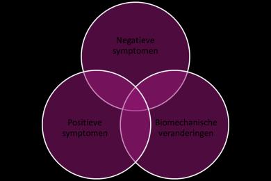 Positieve ( excess ) symptomen: - Proprioceptieve reflex: hyperreflexie, clonus, hypertonie - Exteroceptieve reflex: spasmen, posturale reflex - Abnormale efferente activiteit: