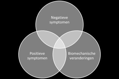 Biomechanische veranderingen: - spierstijfheid - contracturen compensaties sensoriek cognitie Positieve kenmerken verhoogde peesreflexen spasticiteit flexiespasmen extensiespasmen clonus