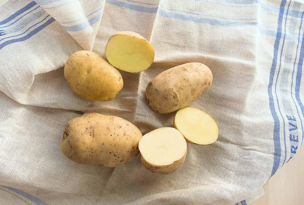 7 Patatten bij de vleet Zeg nooit zomaar aardappel tegen een aardappel: smaken, vormen, kleuren en toepassingen kunnen namelijk flink verschillen.