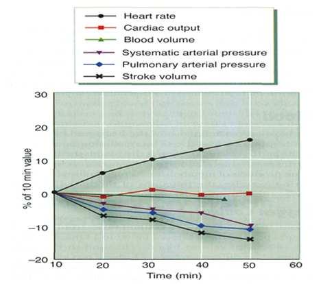 , 1996) DEHYDRATATIE Cardiovasculaire drift bij omgevingstemperatuur 20 C Dehydratatie: huiddoorbloeding en zweten tijdens inspanning: toename T C door de drempel t C voor