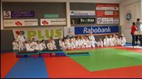 Zaterdag 7 april 2018 Novel vanentoernooi Zaterdag 7 april waren er op het vanentoernooi in Heerde 55 judoka s aanwezig, verdeeld over twee groepen. De eerste groep starte om 11.