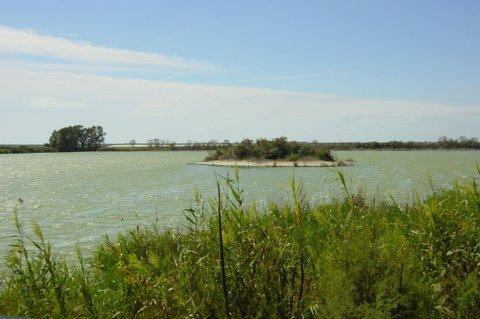 Figuur 22: Meertje aan de rand van het rivierduin bij Bonanza waar o.a. Witkopeend te zien is (HAW). Salinas Ntra. Sra.