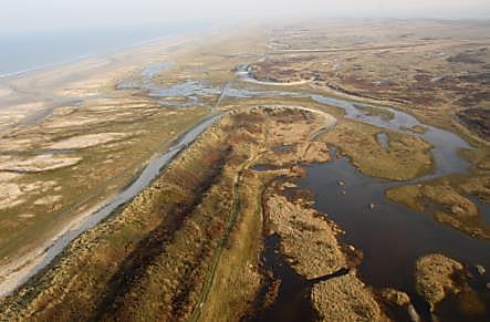 Ligging van de monsterpunten op Schiermonnikoog en