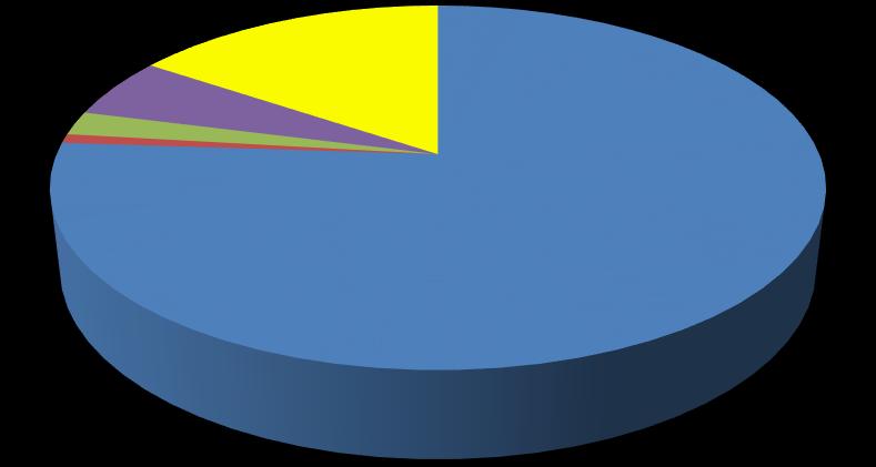 Figuur 12: Het belang van de verschillende schuldinstrumenten in de directe schuld eind 2016 2% 1% 5% 16% EMTN Schuldschein 76% Bankleningen BCP Zichtrekeningen Hieronder wordt dieper ingegaan op elk