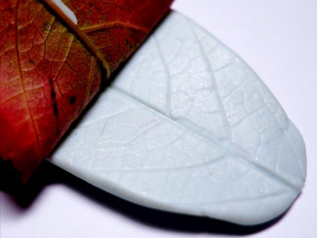 tijdens het uitharden. Neem een stempel, blad of een stukje kant om een afdruk in de klei te maken. Probeer de afdruk in een keer te maken en niet te bewegen.