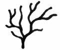 10 Hoofstuk Tydperke a) Geleidelikheid b) Gepunkte ewewig Figuur 10.2 Filogenetiese bome wat a) geleidelikheid, en b) onderbroke ewewig toon.