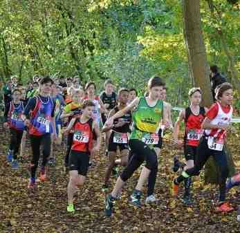 VELDLOOP ZWIJNAARDE 05/11/2017 De eerste veldloop van het seizoen leverde onmiddellijk elf podiumplaatsen op, waarvan zes overwinningen.