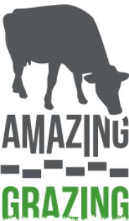 In 216 is het systeemonderzoek van Systeeminnovatie Veenweiden Beweiden vergeleken met de variante van stripgrazen uitgevoerd door het project Amazing Grazing 2 op KTC