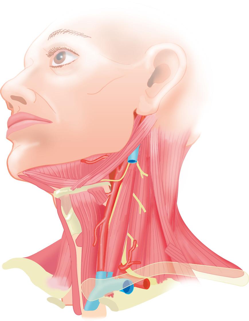 cytologische punctie van de hals een hoge sensitiviteit en specificiteit.