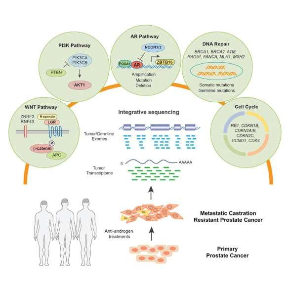 Genomic data on prostate cancer Cell,