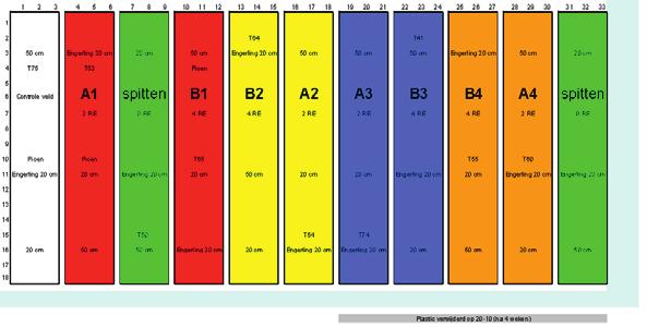 Figuur 9. Plattegrond van het perceel, met proefveld indeling. Het effect op ziekten en plagen is gedurende het proces gevolgd. Er zijn daarom waarnemingen gedaan na 2, 4 en 8 weken.