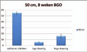Figuur 40. Effect van BGO op Verticillium dahliae na 8 weken op 20 cm. Figuur 41. Effect van BGO op Verticillium dahliae na 8 weken op 50 cm. 2.5.3.