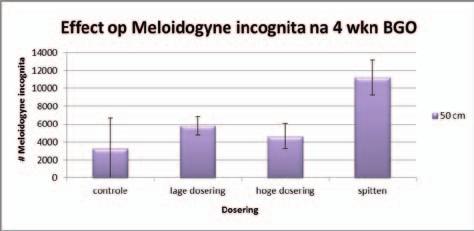 Uit de gegevens dat er nauwelijks verschillen zijn op een diepte van 20 cm tussen de 3 behandelingen te weten, spitten en afdekken (0 RE), lage dosering (2 RE) en de hoge dosering (4 RE).