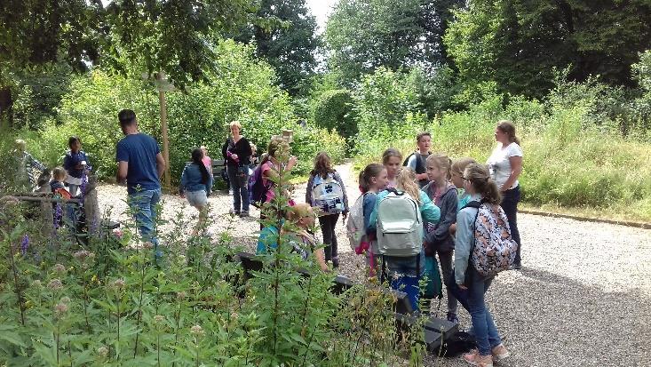 Schoolgemeenschap Trevianum, enkele basisscholen. En is vertegenwoordigd in het Wijkplatform van Munstergeleen.