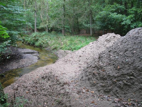 (CPOM) => extra habitat in 3-D heterogeen stromingsprofiel veel