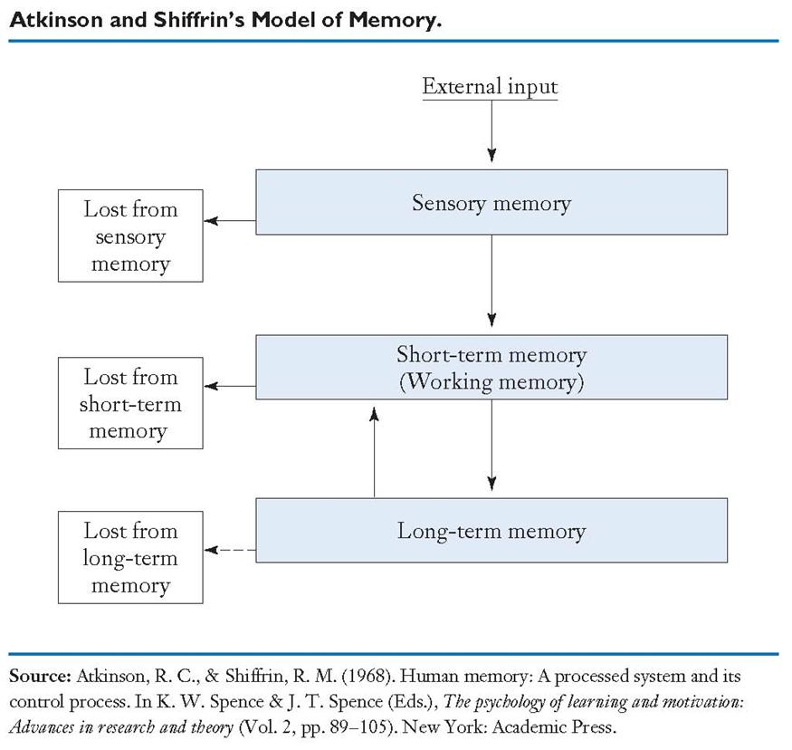 Leren en cognitieve processen : geheugen Klassiek model van geheugen (zie cursus Cognitie&Emotie) Waarnemen: visueel, auditief, haptisch Houdt informatie maar
