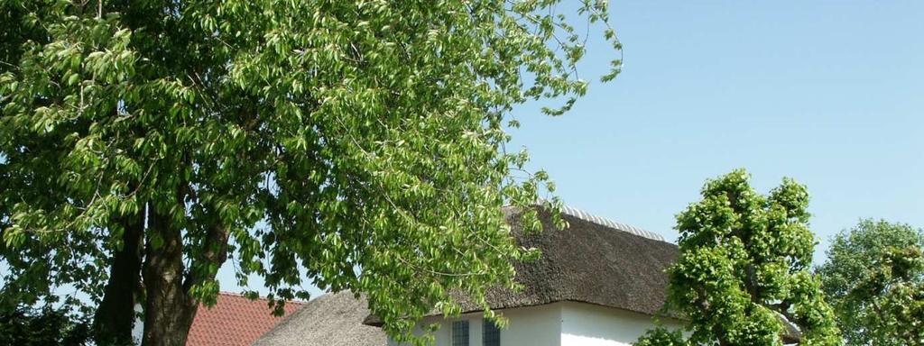 Waardenburg Zandweg 21 In het buitengebied in agrarisch natuurlandschap gelegen sfeervolle rietgedekte