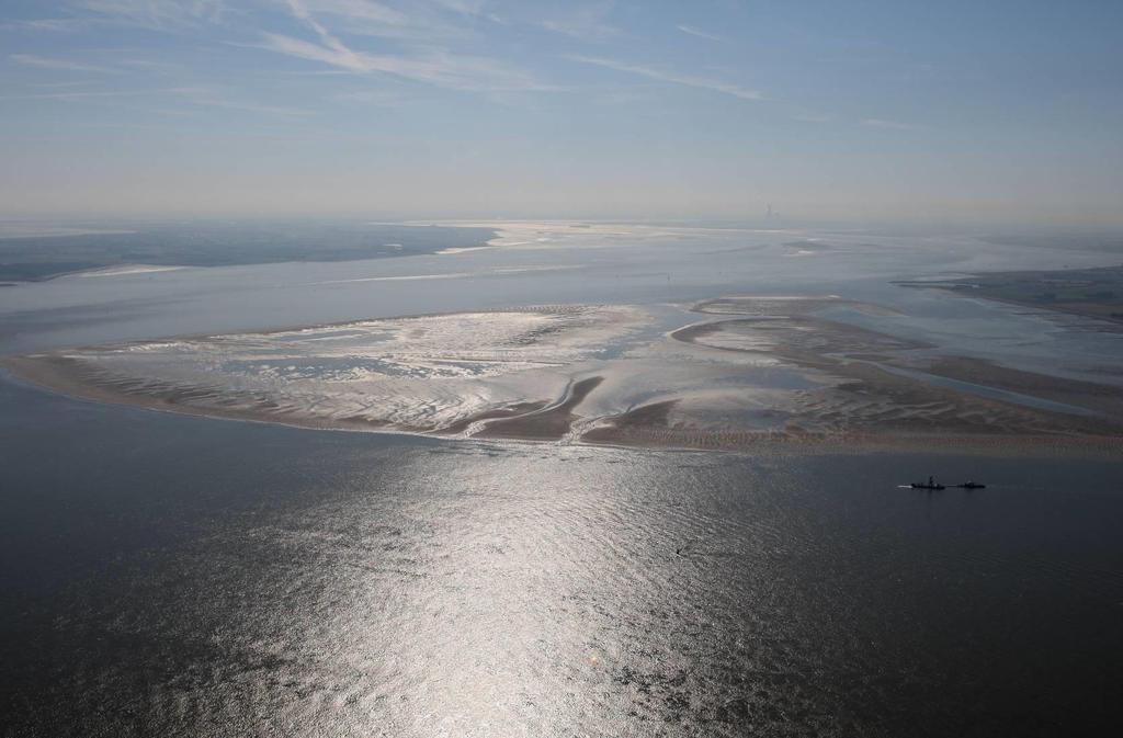 Zoute ecotopenkaart Westerschelde 1996 Toelichting op de samenstelling