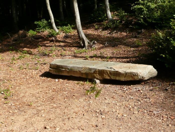 Na 230 meter, voor een bocht naar rechts, gaan we een pad naar rechts in. Je loopt weer in het bos. Al snel steek je een onverharde weg over. 9. Je komt bij een onverharde weg.