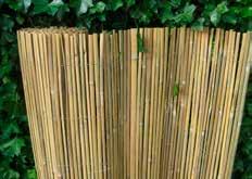 bamboe - per stengel samengebonden met gegalv.