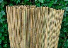 bamboe - afm.