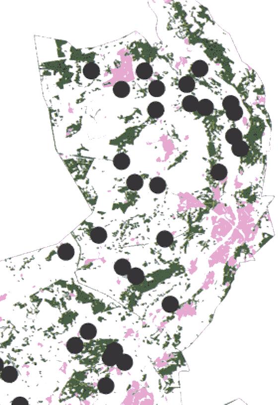 Grijze grootoorvleermuis (Plecotus austriacus) [figuur 4] gebruikt.de niet nadergedetermineerde grootvleermuizen (in hettotaal 161 dieren,9%) blijvenverderbuiten beschouwing.