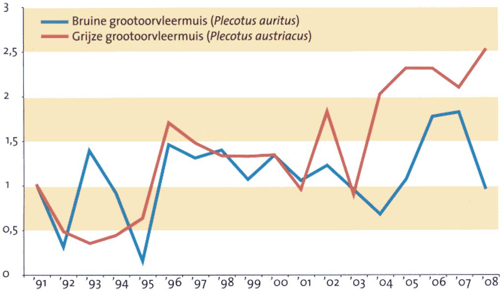 Rekening houdend met dit gegeven is te verwachten dat de volledigheid van onze inventarisatie groter is dan bij de Bruine grootoorvleermuis.