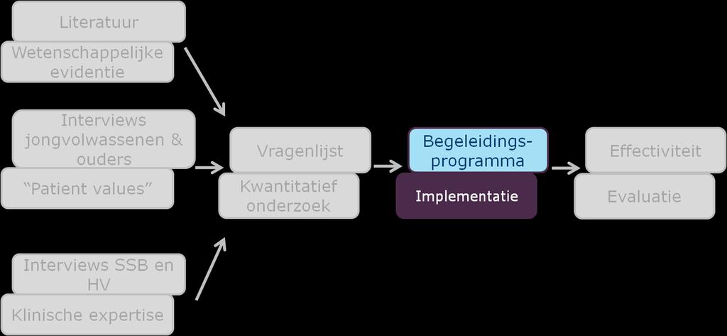 IMPLEMENTATIE: WIJZER OP WEG Thema s Wijzer op Weg :