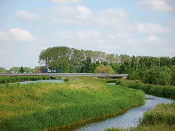 Foto Bas van de Riet, Landschap Noord- Holland. Nabij Purmerend Weidevenne. De rietlanden in de Purmerringvaart zijn habitat voor noordse woelmuis en zeldzame rietvogels als roerdomp en snor.