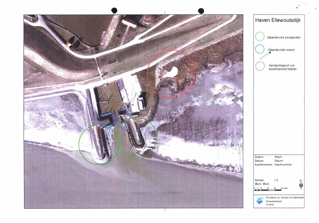 Haven Ellewoutsdijk o o o Naardevolle Waardevolle zoutplanten wieren Aandachtspunt ivm kwalificerend habitat Auteur: Datum: