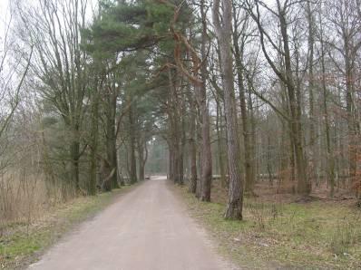 De vennen in het gebied vormen geschikt leefgebied voor amfibieën en de bossen zijn geschikt voor bosvogels zoals spechten. Horsten van roofvogels zijn tevens in het gebied aanwezig.