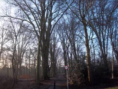 groenvoorzieningen) in de directe omgeving groter maken, met als gevolg dat risico s in het kader van de Flora- en faunawet kunnen ontstaan.