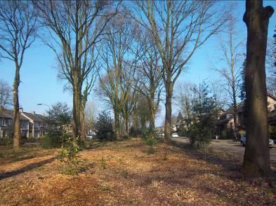 Het betreft de volgende gebieden: Het wethouder Poeliejoepark in de kern van Eersel bestaat uit een vijver, gazon en een parkachtig bos met daarin enkele dikke bomen met spleten welke geschikt zijn