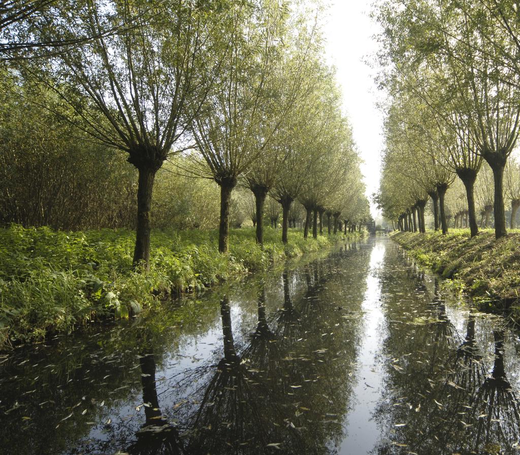 SEPTEMBER 2009 Natuurbeheerplan provincie Utrecht 2009