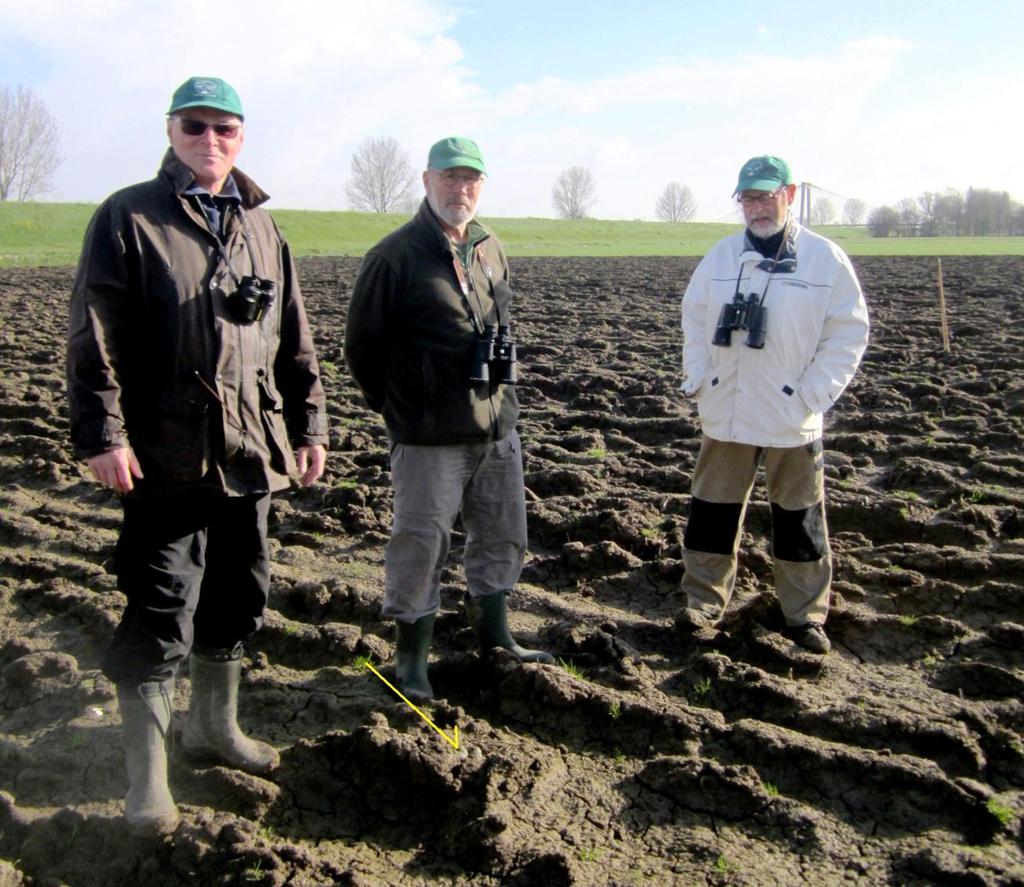 Groep 3 van Henk Pijnappels Toen de groep half maart begon, werd er niets gevonden. De kieviten waren blijkbaar net terug aangezien ze nog in grote groepen rondvlogen en naar voedsel zochten.