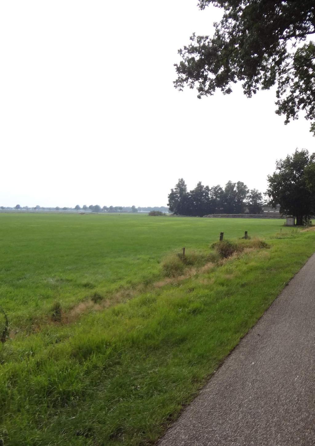 Datum: september 2016 Project: ERF-2015-0402 Ruilverkaveling Vriezenveen Landschap Overijssel Het Oversticht Poppenallee 39 Postbus 531 7722 KW Dalfsen 8000 AM Zwolle (tel) 0529-401731 (tel)