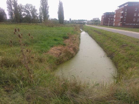 Momenteel is het gebied niet verhard en van de gedempte watergangen steekt nog een klein deel het projectgebied in vanaf het zuiden. 2.