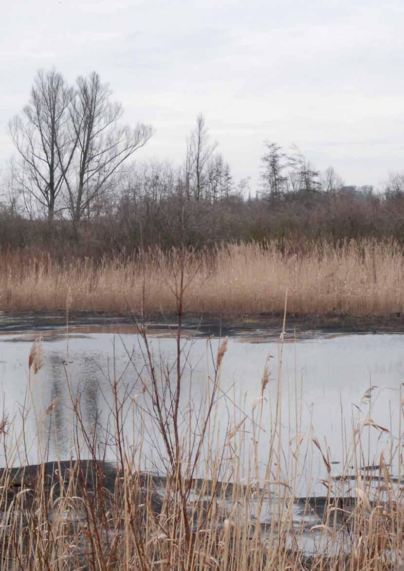 28 De huidige polders van Kruibeke