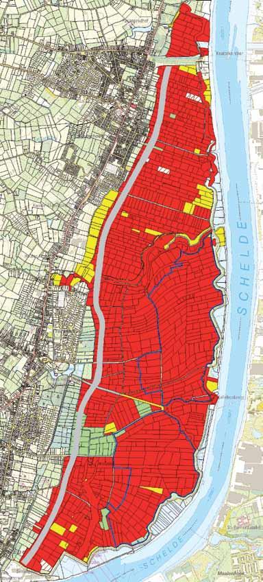 6.2 Veiligheidsinfrastructuur 6.2.1 Ringdijk 38 De grondwerken aan de ringdijk zijn bijna voltooid. De ringdijk is op enkele openingen na van de Scheldelei tot Rupelmonde gerealiseerd en ingezaaid.