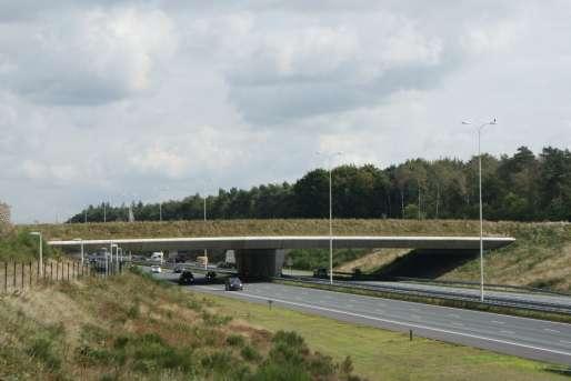 Type voorziening Locatie Hulshorst ecoduct A28 en spoor x x x x 1 Pe