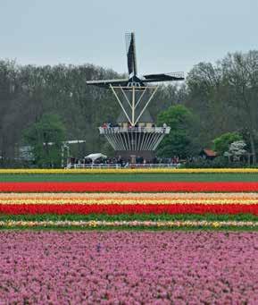 Hillegom - Lisse -