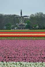 Na iets meer dan 500 meter zien we aan onze linkerhand het romantische Kasteel Keukenhof. 7. Waar komt de naam "Keukenhof" vandaan?