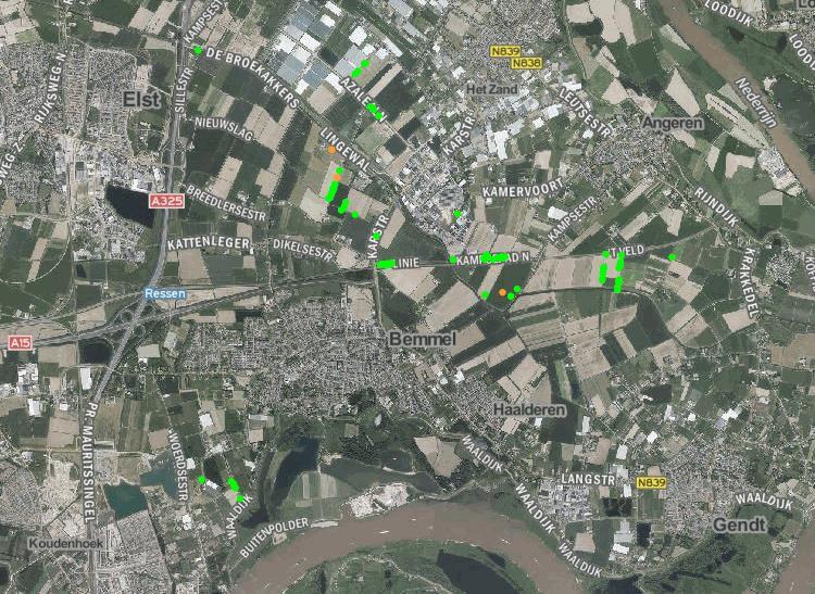 Waarnemingen van afgelopen tien jaar van kleine wolfsmelk (als groene en oranje stipjes) in de omgeving van het plangebied (aangegeven met een rode ster). Bron: NDFF. Bewerking: SAB.